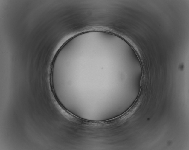 X0000096991438200803071043