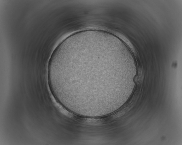 X0000096991439200803071043