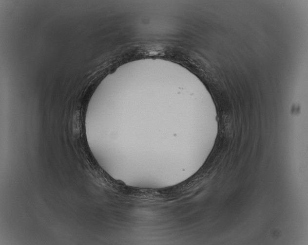 X0000096991442200803071042