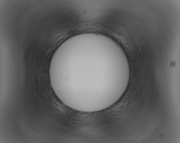 X0000096991444200803071042