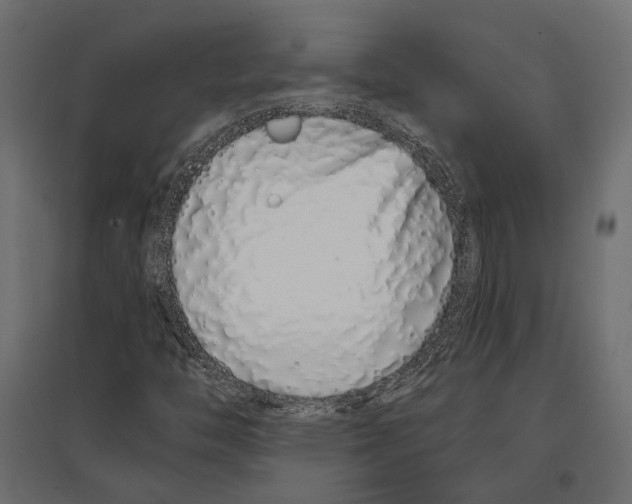 X0000096991446200803071042