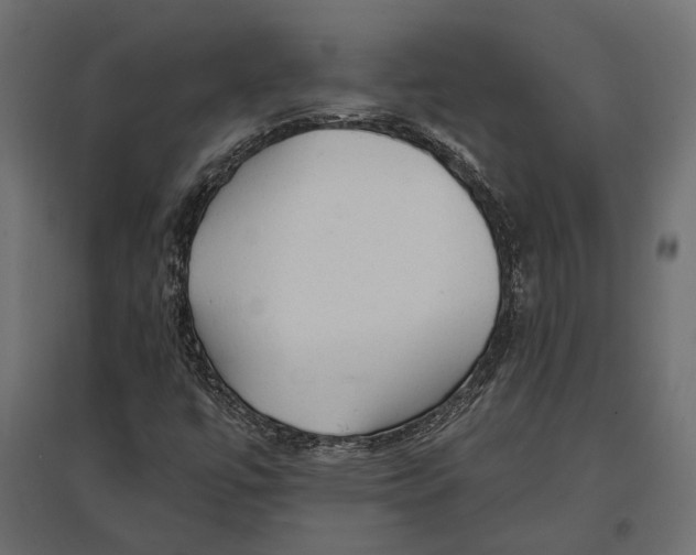 X0000096991447200803071042