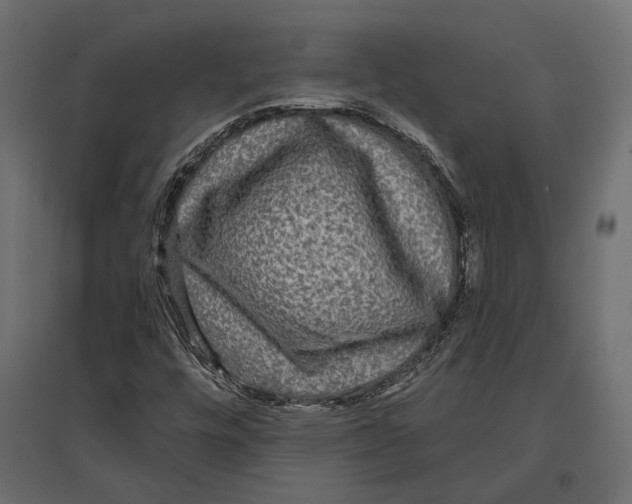 X0000096991448200803071042