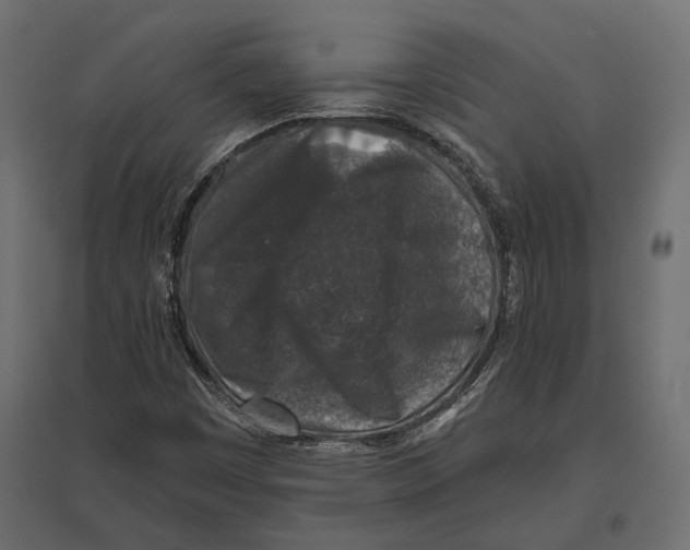 X0000096991449200803071042