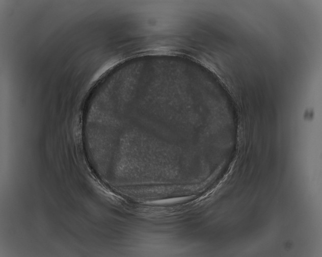 X0000096991450200803071042