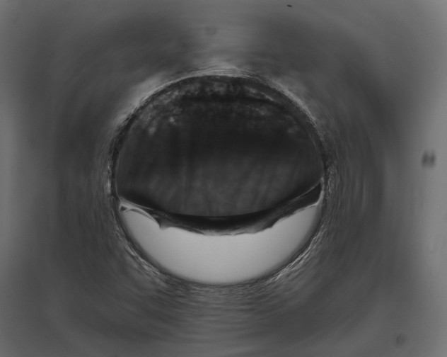 X0000096991455200803071042