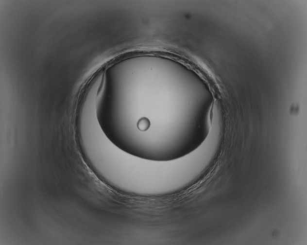 X0000096991456200803071042