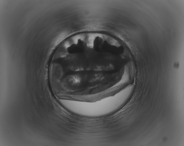 X0000096991459200803071042