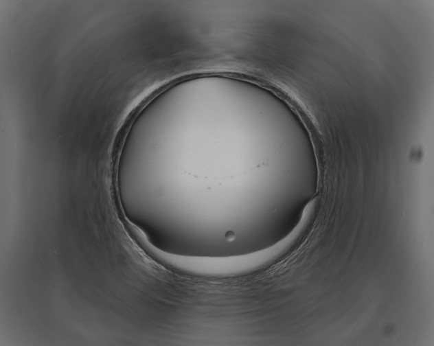 X0000096991460200803071042