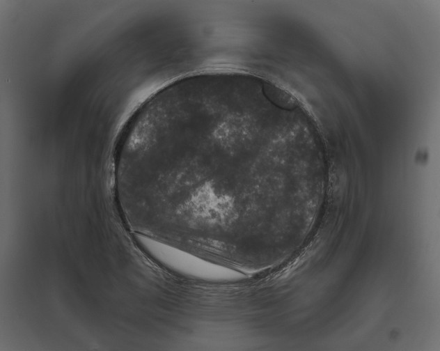 X0000096991461200803071042