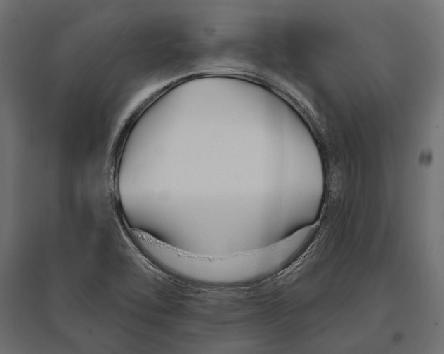 X0000096991462200803071042