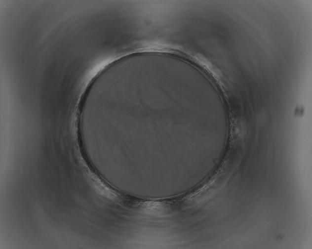 X0000096991463200803071042