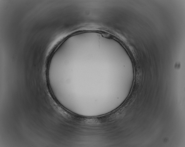 X0000096991464200803071042