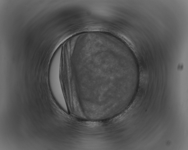 X0000096991465200803071042