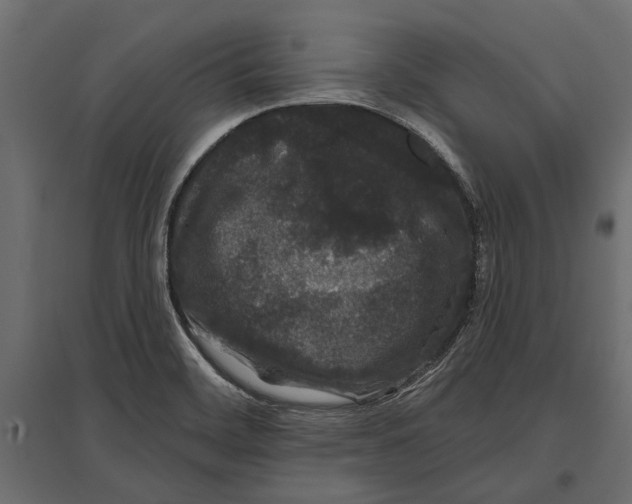 X0000096991468200803071042