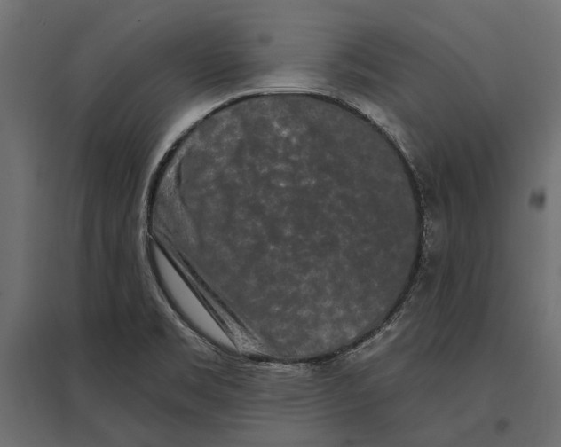 X0000096991469200803071042