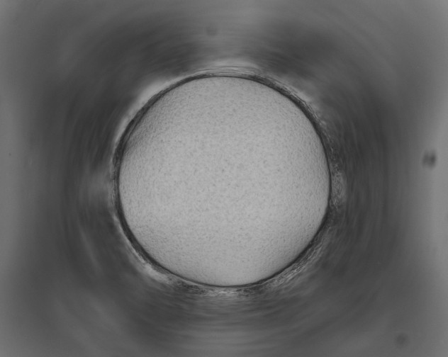 X0000096991470200803071042