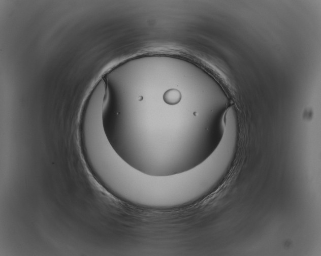 X0000096991471200803071042