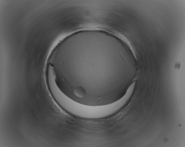 X0000096991472200803071042