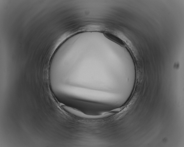 X0000096991473200803071042