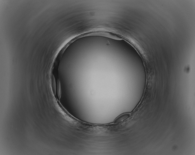 X0000096991476200803071042