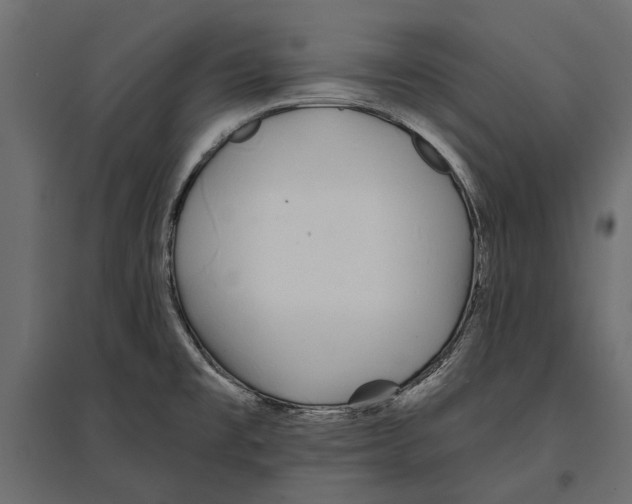 X0000096991477200803071042