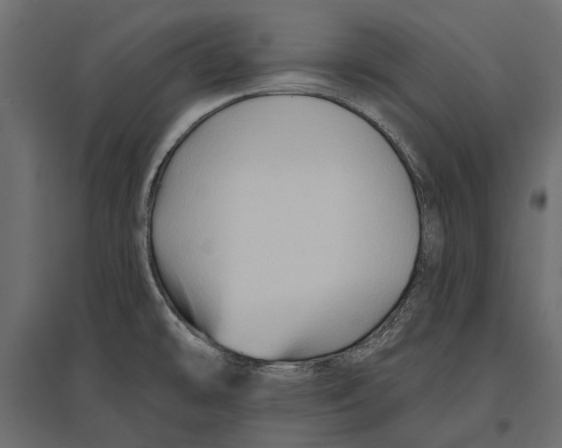 X0000096991478200803071041