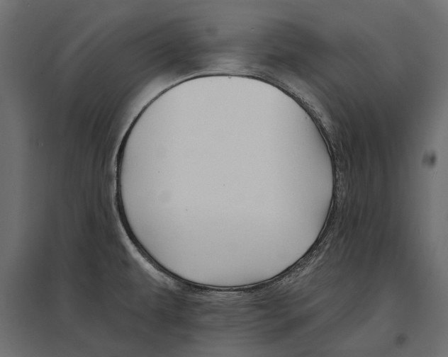 X0000096991479200803071041