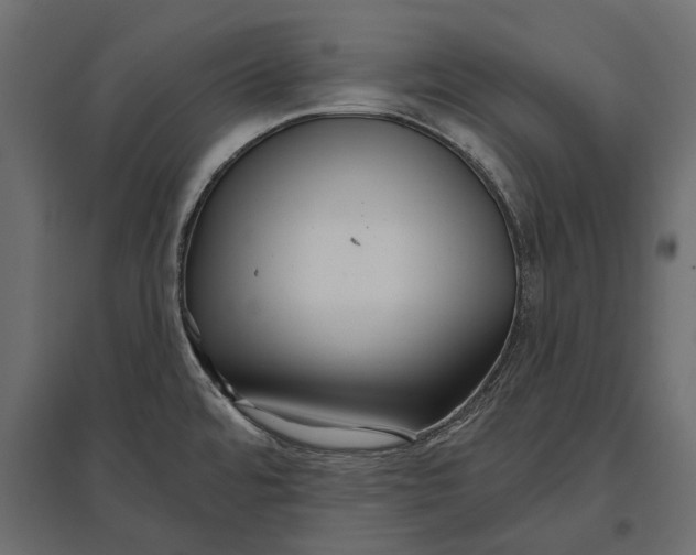 X0000096991480200803071041