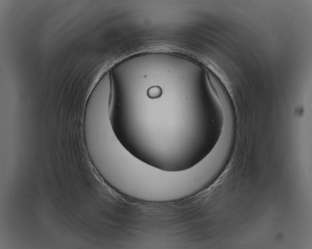 X0000096991481200803071041