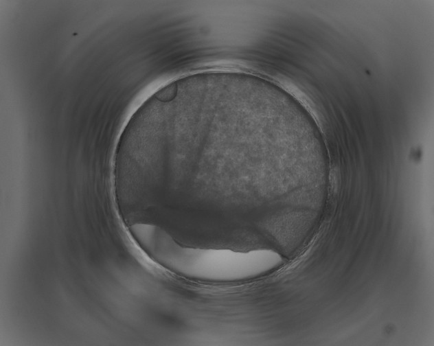 X0000096991482200803071041