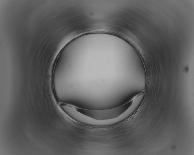 X0000096991483200803071041