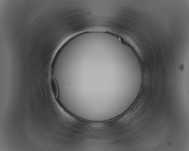 X0000096991484200803071041