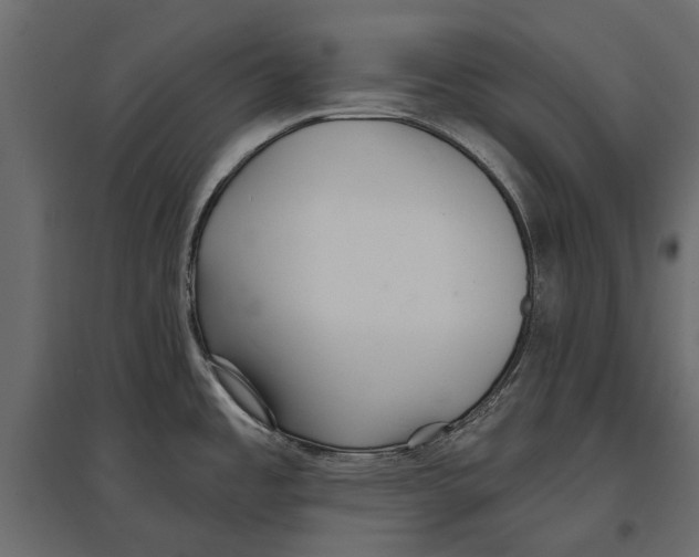 X0000096991485200803071041