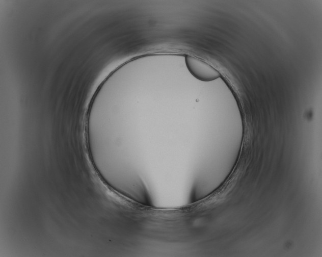 X0000096991486200803071041