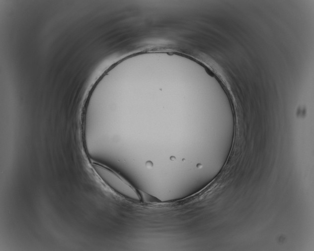 X0000096991488200803071041