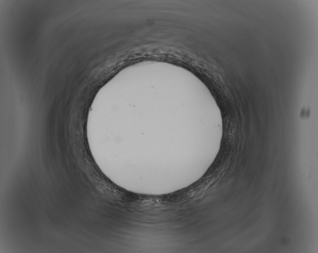 X0000096991489200803071040