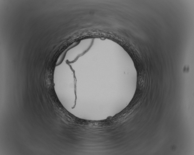 X0000096991490200803071040