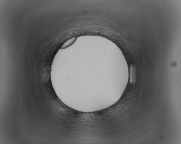 X0000096991491200803071040