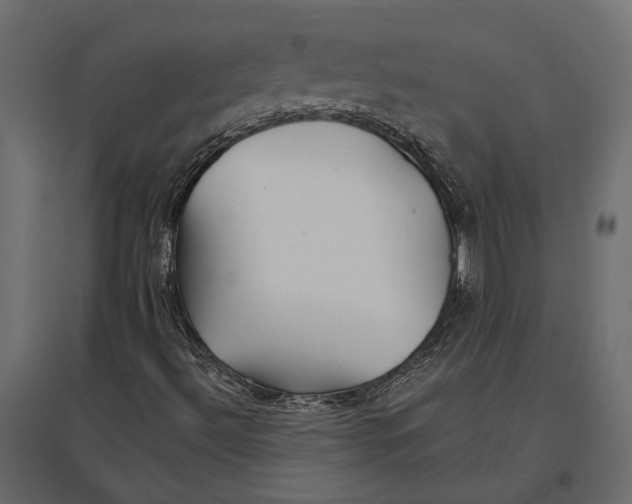 X0000096991492200803071041