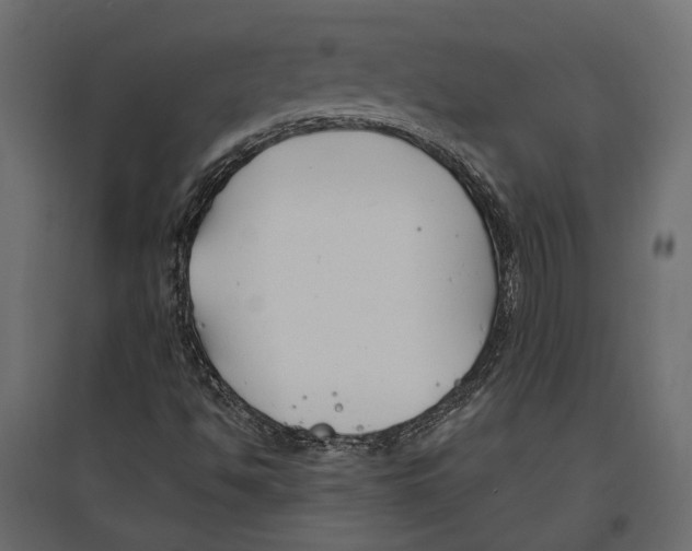 X0000096991494200803071041