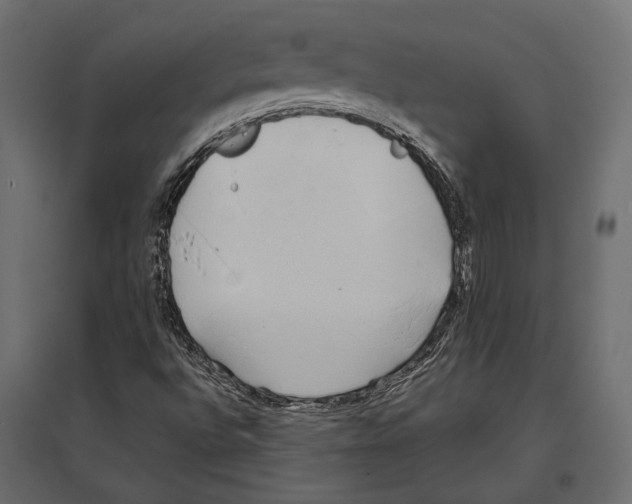 X0000096991496200803071041