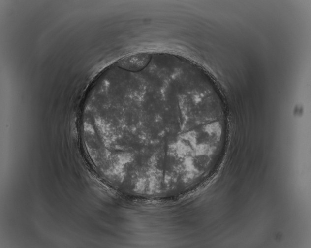 X0000096991497200803071041