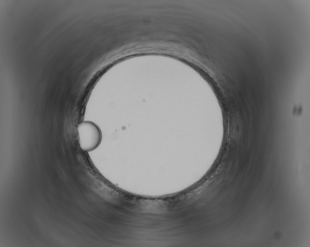 X0000096991498200803071041