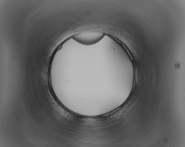 X0000096991500200803071041