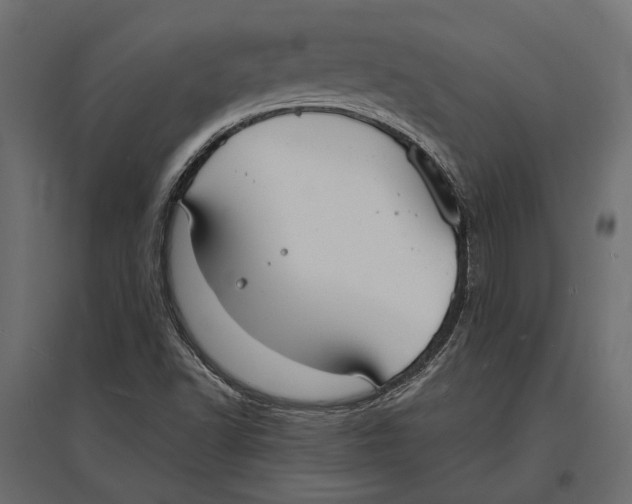 X0000096991502200803071041