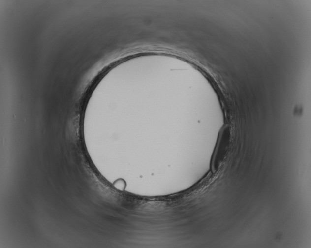 X0000096991503200803071041