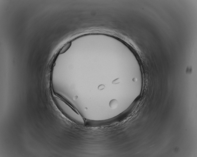 X0000096991504200803071041