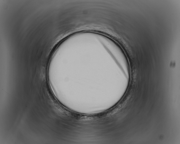 X0000096991505200803071041