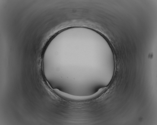 X0000096991507200803071041